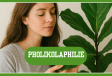 Pholikolaphilie: Ein umfassender Einblick in dieses seltene Phänomen